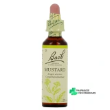 Fleurs de Bach Mustard n°21 - Vue 360°