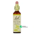Fleurs de Bach Wild Rose n°37