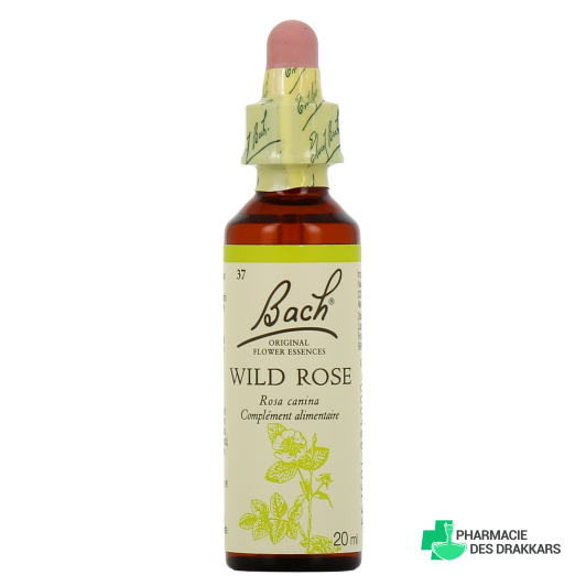 Fleurs de Bach WILD ROSE – n°37 20 ml