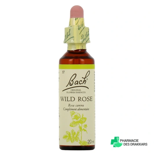Fleurs de Bach Wild Rose n°37