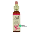 Fleurs de Bach Oak n°22