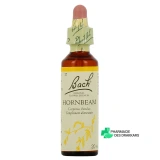 Fleurs de Bach Hornbeam n°17 - Vue 360°
