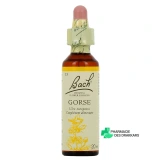 Fleurs de Bach Gorse n°13 - Vue 360°