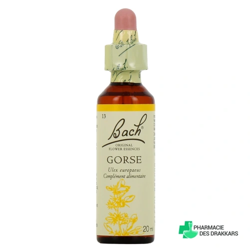 Fleurs de Bach Gorse n°13