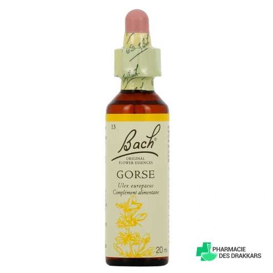 Fleurs de Bach Gorse n°13