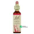 Fleurs de Bach Larch n°19
