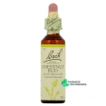 Fleurs de Bach Chestnut Bud n°7