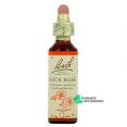 Fleurs de Bach Rock Rose n°26