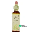 Fleurs de Bach Olive n°23