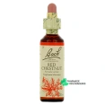 Fleurs de Bach Red Chestnut n°25