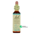 Fleurs de Bach Vervain n°31