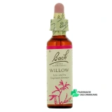 Fleurs de Bach Willow n°38 - Vue 360°
