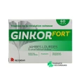Ginkor Fort