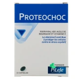 Pileje Proteochoc - Vue 360°
