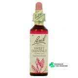 Fleurs de Bach Sweet Chestnut n°30 - Vue 360°