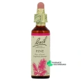 Fleurs de Bach Pine n°24