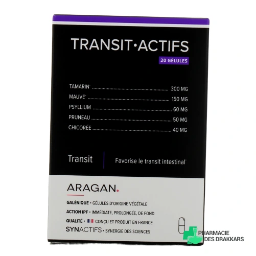 Synactifs Transit Actifs