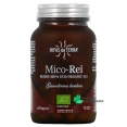Hifas da Terra Mico-Rei