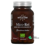 Hifas da Terra Mico-Rei - Vue 360°