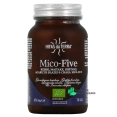 Hifas da Terra Mico-Five