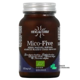 Hifas da Terra Mico-Five - Vue 360°