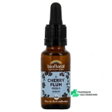 Biofloral Fleurs de Bach - Vue 360°