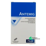 Pileje Antemig - Vue 360°