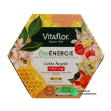 Vitaflor Gelée Royale 1000mg Bio Energie - Vue 360°