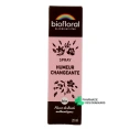 Biofloral Humeur Changeante Bio