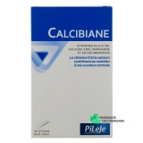 Pileje Calcibiane - Vue 360°
