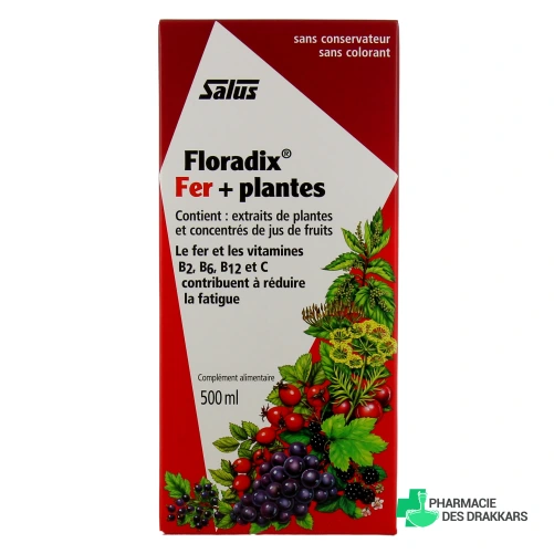 Floradix Fer + Plantes
