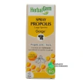 Herbalgem Propolis Large Spectre Gorge Bio