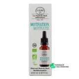 Elixirs & Co Motivation - Vue 360°