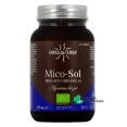 Hifas da Terra Mico-Sol