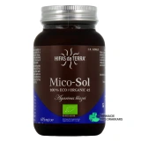 Hifas da Terra Mico-Sol - Vue 360°