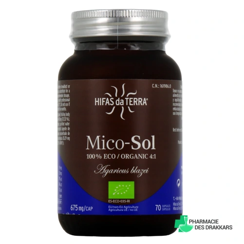 Hifas da Terra Mico-Sol