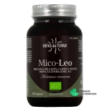 Hifas da Terra Mico-Leo - Vue 360°