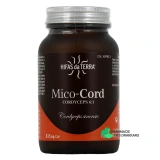 Hifas da Terra Mico-Cord - Vue 360°