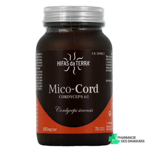 Hifas da Terra Mico-Cord