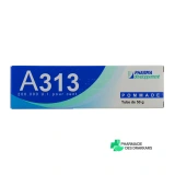 A313 Pommade - Vue 360°