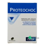 Pileje Proteochoc - Vue 360°