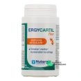 Nutergia Ergycartil Flex