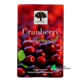New Nordic Cranberry - Vue 360°