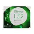 Lehning L52 Etats Grippaux