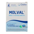 Dielen Molval