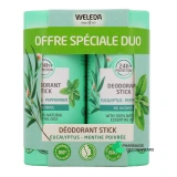 Weleda Déodorant Stick 24h Bio - Vue 360°