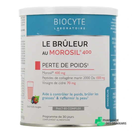 Bruleur au Morosil Biocyte