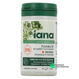 Iana Articulations Flexibilité et Energie - Vue 360°