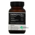 Synactifs Energy Cell Métabolisme Energétique et Cellulaire