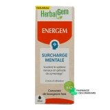 Herbalgem Energem Surcharge Mentale Bio - Vue 360°